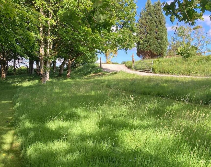 Cargibbitt Annexe Villa Liskeard Eksteriør billede